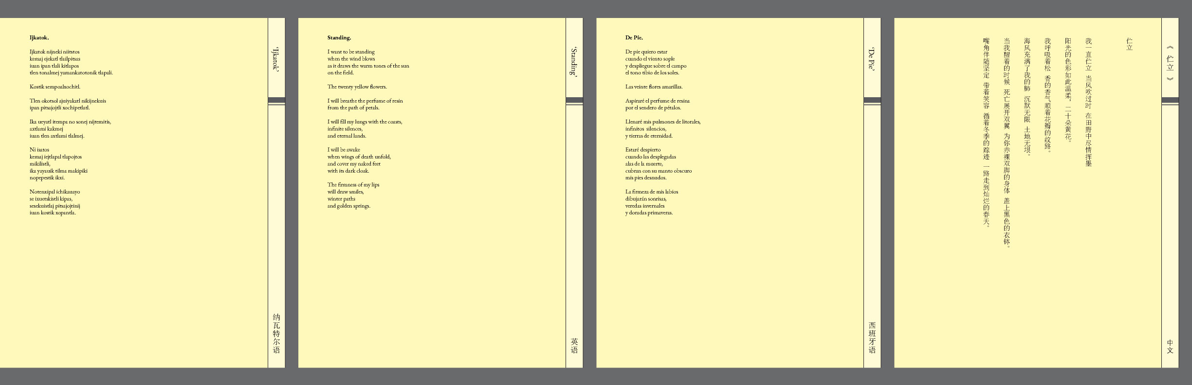 The Songs of Birds project documentation